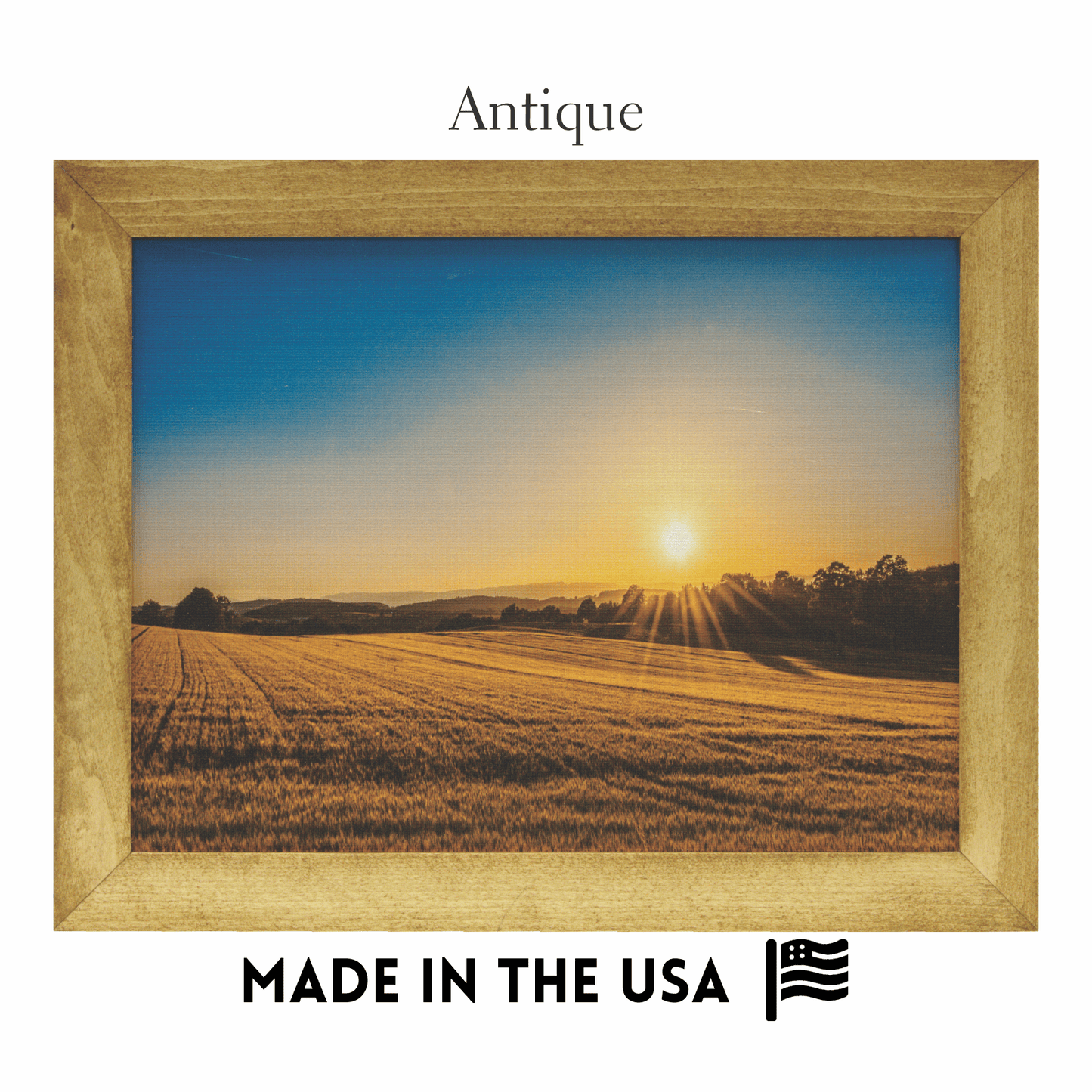 Framed Canvas