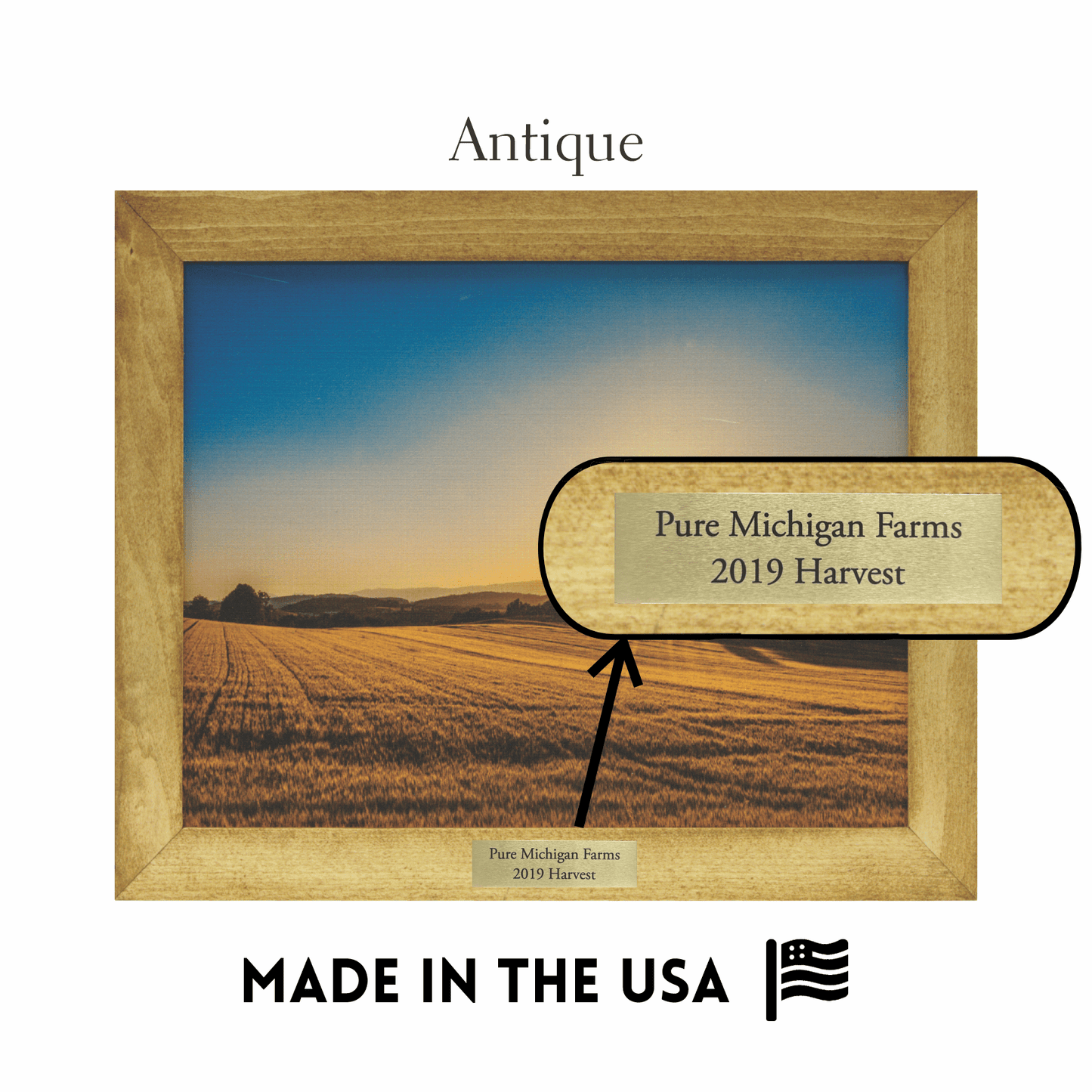 Framed Canvas with Metal Plate